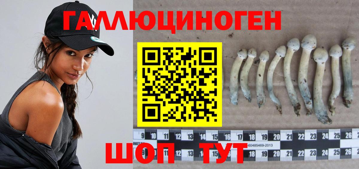 Псилоцибиновые грибы мицелий  Вход с VPN  Бугуруслан 